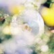 センチミリメンタル／光の中から伝えたいこと/東京特許許可局