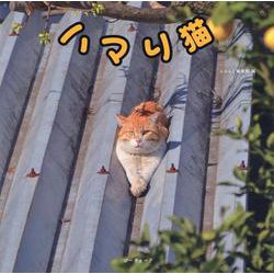 ハマり猫 [単行本]