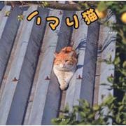 ハマり猫 [単行本]