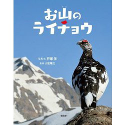 お山のライチョウ [絵本]