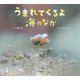 うまれてくるよ海のなか [単行本]