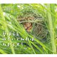 草はらをのぞいてみればカヤネズミ―日本でいちばん小さなネズミの物語(小学館の図鑑NEOの科学絵本) [絵本]