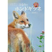 きみの町にもきっといる。となりのホンドギツネ(命のつながり〈4〉) [単行本]