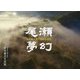 尾瀬夢幻―水が織りなす美しき世界 有馬雅美写真集 [単行本]