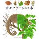 カモフラージュの本(はじめての発見〈46〉) [絵本]