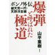 爆弾と呼ばれた極道―ボンノ外伝 破天荒一代・天野洋志穂 [単行本]