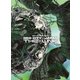 NCT 127／NCT 127 2ND TOUR NEO CITY : JAPAN THE LINK [Blu-ray Disc]