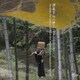 彈眞空／彈眞空 竹の響き ～未来に託す七つの試み～