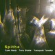 奈良ゆみ・大竹徹・田中康之／Spitha