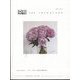 THE INVENTION (ザインベンション) 発明 2022年 06月号 [雑誌]