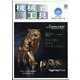機械と工具 2022年 06月号 [雑誌]