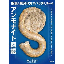 採集と見分け方がバッチリわかるアンモナイト図鑑 [単行本]