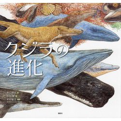 クジラの進化(講談社の創作絵本) [絵本]