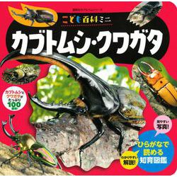 こども百科ミニ　カブトムシ・クワガタ(知育アルバム) [ムックその他]