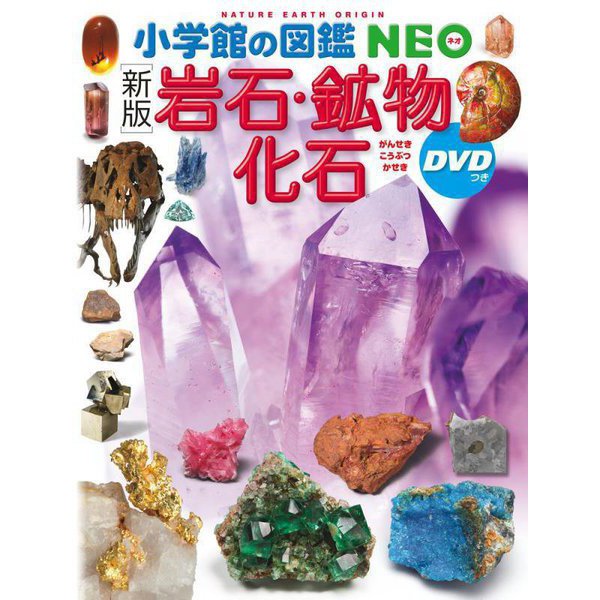 岩石・鉱物・化石 DVDつき 新版 (小学館の図鑑 NEO) [図鑑]