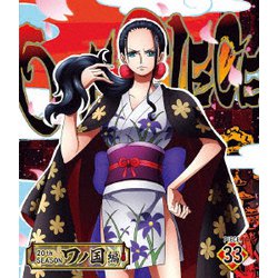 ONE PIECE ワンピース 20THシーズン ワノ国編 PIECE.33 [Blu-ray Disc]