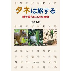 タネは旅する―種子散布の巧みな植物 [単行本]
