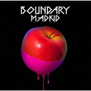 BOUNDARY