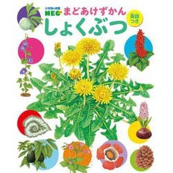 まどあけずかん しょくぶつ 英語つき(小学館の図鑑NEO) [図鑑]