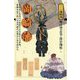 岡崎藩(シリーズ藩物語) [全集叢書]