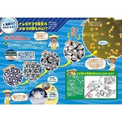 ヨドバシ.com - さかなクンのギョギョッとサカナ☆スター図鑑(講談社