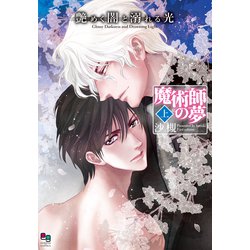 艶めく闇と溺れる光 魔術師の夢　上(enigma comics) [コミック]