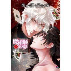 艶めく闇と溺れる光 魔術師の夢　下(enigma comics) [コミック]