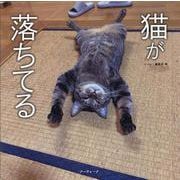 猫が落ちてる [単行本]