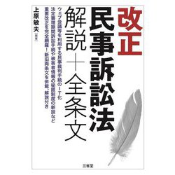 改正民事訴訟法解説+全条文 [単行本]