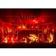 Aimer／Aimer Hall Tour 2022 "Walpurgisnacht" Live at TOKYO GARDEN THEATER [DVD]