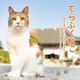 てらふくねこ―家族の縁をつなぐお寺の福猫たち [単行本]