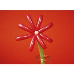 マカロニえんぴつ／MACAROCK'N LIVE-1 [DVD]