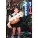 老犬クー太 命あるかぎり―ある校長先生一家と過ごした十八年（ドキュメンタル童話・犬シリーズ） [単行本]