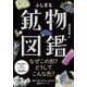 ふしぎな鉱物図鑑(ビジュアルだいわ文庫) [文庫]