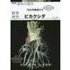 観葉植物 ビカクシダ(NHK趣味の園芸 12か月栽培ナビNEO) [全集叢書]