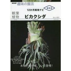 観葉植物 ビカクシダ(NHK趣味の園芸 12か月栽培ナビNEO) [全集叢書]