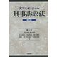 大コンメンタール刑事訴訟法〈第6巻〉第282条～第316条 第3版 [全集叢書]