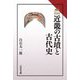 近畿の古墳と古代史(読みなおす日本史) [全集叢書]