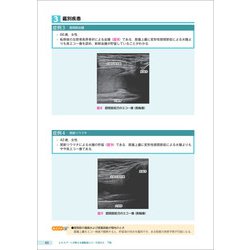 ヨドバシ.com - エキスパートが教える運動器エコーの見かた 下肢―診療