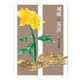 補綴の茶房 [単行本]