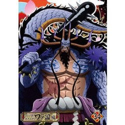 ONE PIECE ワンピース 20THシーズン ワノ国編 PIECE.34 [DVD]