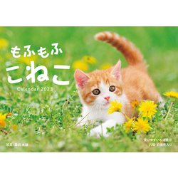 ヨドバシ.com - もふもふこねこ(インプレスカレンダー2023