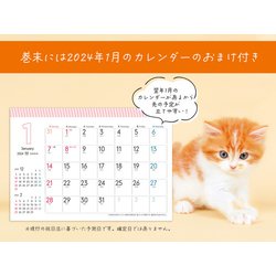 ヨドバシ.com - 小さいサイズのふわふわこにゃんこ(インプレス