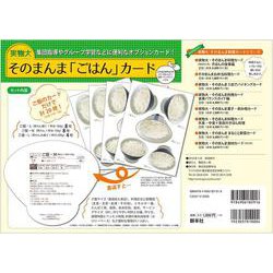 実物大・そのまんま「ごはん」カード [単行本]