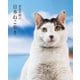 岩合光昭の日本ねこ歩き [単行本]