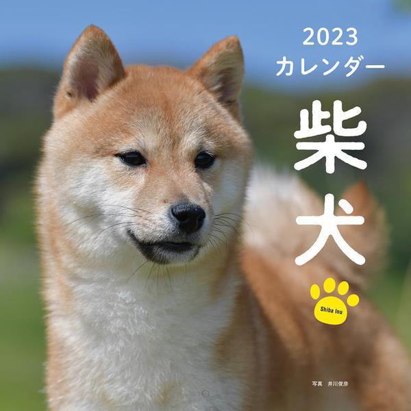 2023年カレンダー 柴犬(誠文堂新光社カレンダー) [ムックその他]