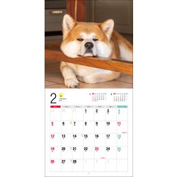 ヨドバシ Com 23年カレンダー 秋田犬 誠文堂新光社カレンダー ムックその他 通販 全品無料配達