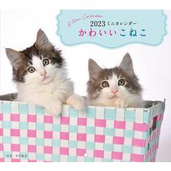 2023年カレンダー かわいいこねこ(誠文堂新光社カレンダー) [カレンダー]