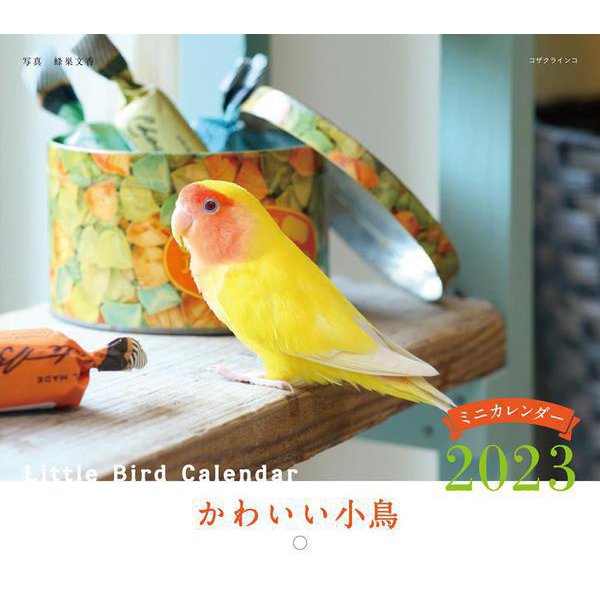 2023年カレンダー かわいい小鳥(誠文堂新光社カレンダー) [ムックその他]
