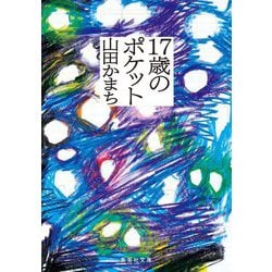 17歳のポケット(集英社文庫) [文庫]